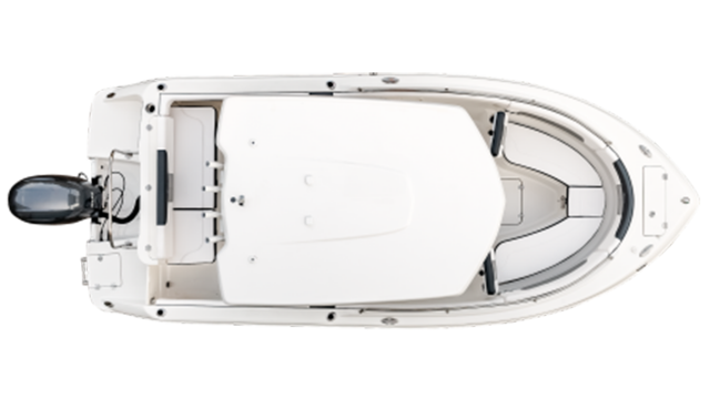 Robalo R222EX Overhead